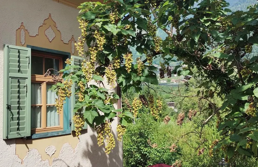 Schlosswirt Forst-1